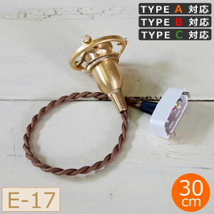 AXCIS ANVX y_g  E17p BR 30cm Jo[Ȃ ^CvAEBECΉ HOMESTEAD y_gCg HS1852