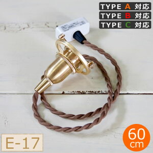 AXCIS ANVX y_g  E17p BR E-17pEJo[ȂE60cm ^CvAEBECΉ y_gCg HOMESTEAD HS1854