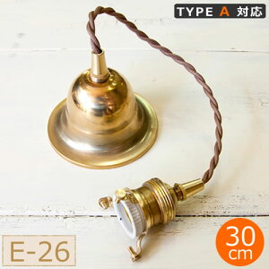AXCIS ANVX y_g  E26pBR E-26pEJo[tE30cm ^CvAΉ \Pbg y_gCg HOMESTEAD HS2173