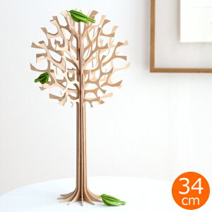 lovi B Ehc[ 34cm with 3 ~jo[h  ؐ tBh kG k kCeA