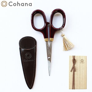 Cohana ͂ ƋG̏΂ h {vP[Xt { Rni KAWAGUCHI ٖD ؂oT~ ؂΂ Jo[