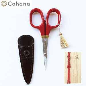 Cohana ͂ ƋG̏΂ h {vP[Xt { Rni KAWAGUCHI  ٖD ؂oT~ ؂΂ Jo[