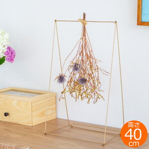 ACAX^h [XX^h [X XbO ݂艺 C[ Stand Plier X^hvG 40cm CLAY NC