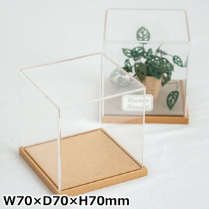 yN[|Ώ 10/10 14:59܂Łz ANP[X W70×D70×H70mm ؐ ANfBXvC{bNX RNVP[X [ i Jeantopia WgsA