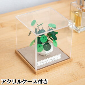 y[p[NtgLbg ANP[Xt E`[jNT ~j`A A i Jeantopia WgsA  i` CeA ~j`ALbg