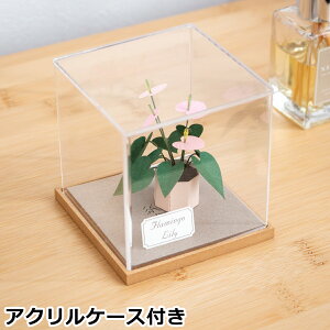 y[p[NtgLbg ANP[Xt t~S[ ~j`A A i Jeantopia WgsA  i` CeA ~j`ALbg