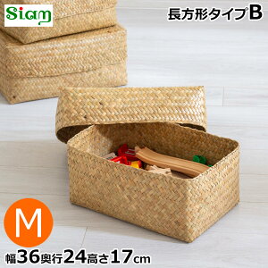 Wt [ M 36cm ` ӂtlpBOX oXPbg [^ TCA J`[  VRf nhCh [{bNX ̂ Siam ^CvB gCbgy[p[[