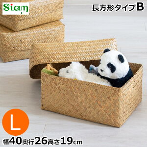 Wt [ L 40cm ` ӂtlpBOX oXPbg [^ TCA J`[  VRf nhCh [{bNX ̂ Siam ^CvB gCbgy[p[[