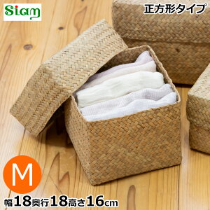 Wt [ M ` 18cm oXPbg [^ TCA J`[  VRf nhCh [{bNX ̂ Siam
