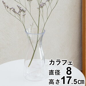 Ȃԕr |J[{l[g Ȃ ԕr t[x[X JtF  sb`[ fL^ PC carafe 17.5cm a8cm CLAY NC