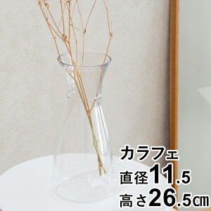 Ȃԕr |J[{l[g Ȃ ԕr t[x[X JtF  sb`[ fL^ PC carafe 26.5cm a11.5cm CLAY NC