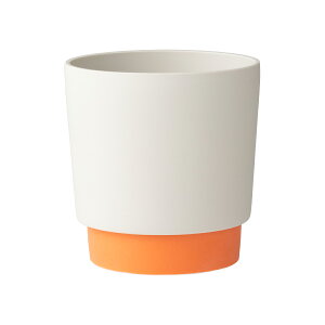 yԌ|Cg10{z v^[|bg Aؔ a9.5cm v^[ ^  ground grip pot S 2.5 rj[|bgΉ WRq}c { Z