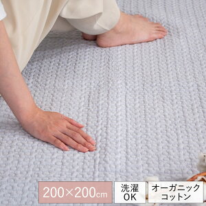 hbg Cu LeBO}bg 200×200cm 􂦂  O Ԃ vC}bg I[V[Y 唻 8182 ؍Cu I[KjbNRbg