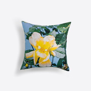 �N�b�V�����J�o�[45×45 | What's in a name? | �A�[�e�B�X�g �� | ���{�� �N�b�V�����J�o�[ 45×45cm �N�b�V���� �J�o�[ |�I�b�N�X�R�b�g�� �� �R�b�g�� FAVORRIC �t�F�C�o���b�N 45cm 45×45 45 45 �V�R�f��