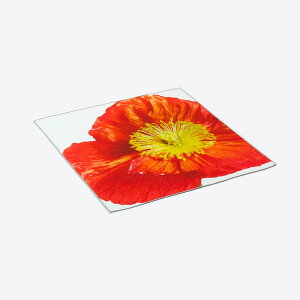 { lLb`NX Lb`NX l Linen POPPYbA^CvbA[eBXg@{bYl ߍ] Linen FAVORRIC tFCobN ivL Lb`^I  ӂ