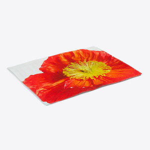 日本製 リネンランチョンマット ランチョン マット 洗える Linen POPPY|Aタイプ|アーティスト 岡本寿|国産リネンキャンバス 近江麻 Linen FAVORRIC フェイバリック おしゃれ リネン キッチン