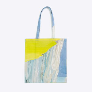 ���{�� �t���b�g�T�u�o�b�O �g�[�g�o�b�O �G�R�o�b�O a4 �z ��100% tote bag Iceberg�b�A�[�e�B�X�g�@�x�c���b�I�b�N�X�R�b�g�� �� �R�b�g�� FAVORRIC �t�F�C�o���b�N �܂肽���� �|�P�b�g�t�� ����