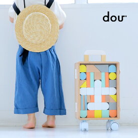 dou? carry me #005(積み木 おしゃれ つみき 出産祝い 木 木製 木のおもちゃ 型はめ 知育玩具 おもちゃ おすすめ 人気 かわいい 子供 玩具 プレゼント カラフル)