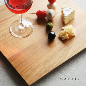 SALIU R Vv[g p 31612(g[ gC  ؐ  lp ~ JtF { 􂦂 v[g ؐg[ ` ڂ a H VR _)