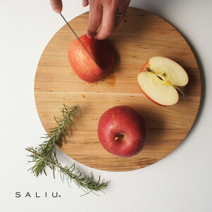 SALIU R ۂ܂Ȃ 28 31661(܂Ȕ  ؐ   ܂Ȃ ؂̂܂Ȕ 傫 JbeBO{[h lC { ی^ ۂ k IV Y)