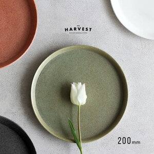 THE HARVEST 224glad Ehv[g20(v[g M  킢 v[g ێM 20cm  H M aH mH _ H@ WΉ M M J[ pX^ }bg  {)