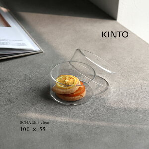 KINTO Lg[ SCHALE KXP[X 100×55mm NA 25761(LjX^[ KX P[X NA  k X^CbV ϔMKX ۑe  VK[ \g H@ dqW 