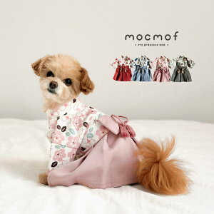 mocmof pet Nt ybg p 622-650007( a   ^ j̎q ̎q 킢   ₷ ̌ ybg ybgEFA ܎O  ЂȂ܂ q̓ Cx