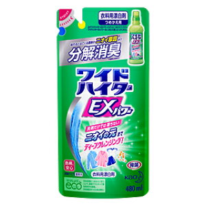 ԉ ChnC^[ EXp[ [߂p] 480ml×24Zbg Kao WideHaiter 4901301289605