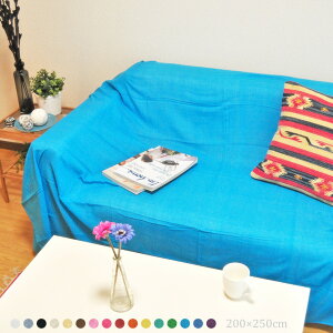 }`Jo[ VvJ[ 200×250cm Ch100 n ` k 킢 JtF i` \t@[Jo[ AWAG 2l|