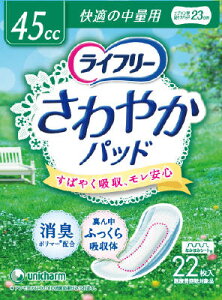 yE12ZbgE܂ƂߔEpbP[Wz j`[ Ct[ ₩pbh K̒ʗp 22×12Zbg yxփpbh lpނ