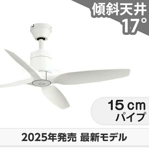  ۏ y DC[^[ 啗  XΓV I[fbN zCg V[Ot@ OOF-008