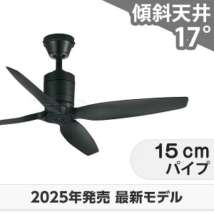  ۏ y DC[^[ 啗  XΓV I[fbN V[Ot@ OOF-009