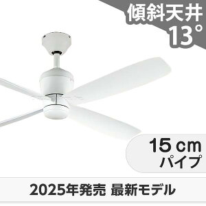  ۏ y DC[^[ 啗  XΓV I[fbN zCg V[Ot@ OCF-376