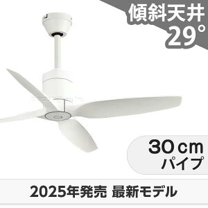  ۏ y DC[^[ 啗  XΓV I[fbN zCg V[Ot@ OOC-010