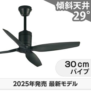  ۏ y DC[^[ 啗  XΓV I[fbN V[Ot@ OOC-017