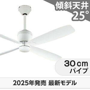  ۏ y DC[^[ 啗  XΓV I[fbN zCg V[Ot@ OCC-406