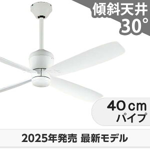  ۏ y DC[^[ 啗  XΓV I[fbN zCg V[Ot@ OCC-422