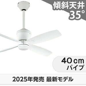  ۏ y DC[^[ 啗  XΓV I[fbN zCg V[Ot@ OCC-423