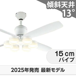  ۏ FLED [R15] y LED 6 邳8 DC[^[ 啗  XΓV I[fbN zCg V[Ot@ Cg OCB-378