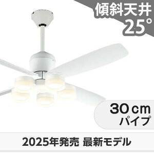  ۏ FLED [R15]y LED 5 DC[^[ 啗  XΓV I[fbN zCg V[Ot@ Cg OCB-383