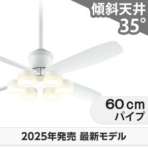  ۏ FLED [R15] y LED 6 邳8 DC[^[ 啗  XΓV I[fbN zCg V[Ot@ Cg OCB-386