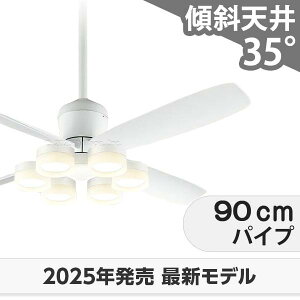  ۏ FLED [R15] y LED 6 邳8 DC[^[ 啗  XΓV I[fbN zCg V[Ot@ Cg OCB-390