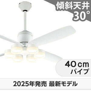  ۏ FLED [R15] y LED 6 邳8 DC[^[ 啗  XΓV I[fbN zCg V[Ot@ Cg OCB-418