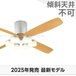  ۏ FLED [R15]^ y LED 6 邳8 DC[^[ 啗 I[fbN V[Ot@ Cg OCB-424