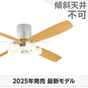  ۏ FLED [R15]^ y LED 5 DC[^[ 啗 I[fbN V[Ot@ Cg OCB-425