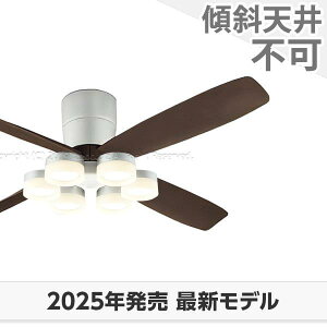  ۏ FLED [R15]^ y LED 6 邳8 DC[^[ 啗 I[fbN V[Ot@ Cg OCB-426