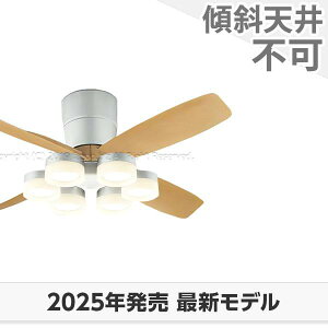  ۏ FLED [R15]^ y LED 6 邳8 DC[^[ 啗 I[fbN V[Ot@ Cg OCB-428