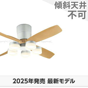  ۏ FLED [R15]^ y LED 5 DC[^[ 啗 I[fbN V[Ot@ Cg OCB-429