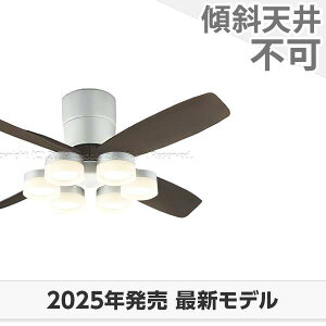  ۏ FLED [R15]^ y LED 6 邳8 DC[^[ 啗 I[fbN V[Ot@ Cg OCB-430