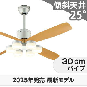  ۏ FLED [R15]y LED 6 邳8 DC[^[ 啗  XΓV I[fbN V[Ot@ Cg OCB-434